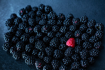 The concept of uniqueness. Not like the others. Red raspberry in a heap of black mulberries