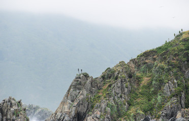 paisaje de cerro y mar 