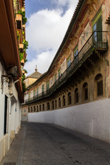 ancient curved noble palace of Carmona, andalusia