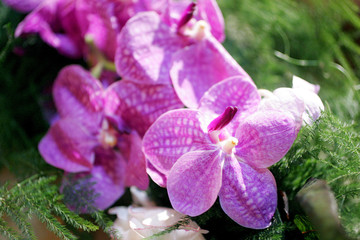 D&eacute;coration Florale &agrave; l' Op&eacute;ra Garnier