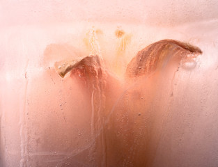 Fototapeta premium Background of day lily flower in ice with air bubbles.