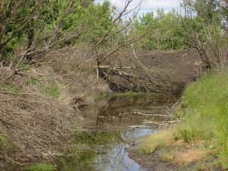 The stream is blocked by a fresh earthen embankment dam.