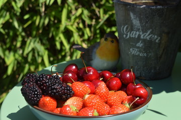 Healthy breakfast in the garden
