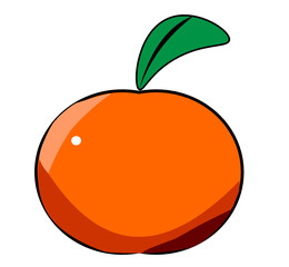 vector illustration of an orange fruit, cartoon drawing