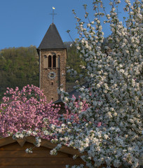 Kirchenturm in Blütenmantel bei Cochem an der Mosel