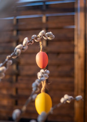 Kolorowe jajka na gałęzi wierzby © Adam