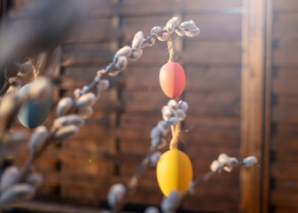 Kolorowe jajka na gałęzi wierzby © Adam