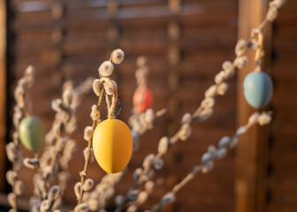 Jajka kolorowe na wierzbie © Adam