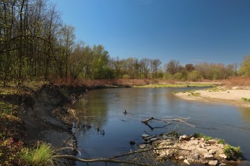 Shores and surface of the Odra River meanders in beautiful sunny spring weather with cloudless blue sky