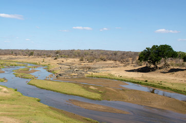 Riviere Olifants, Parc national Kruger, Afrique du Sud