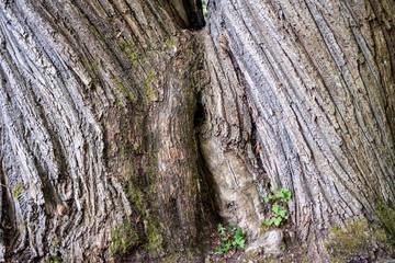 Parc de la Maison de Chateaubriand