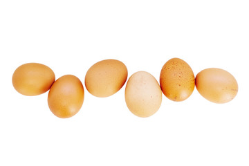 Organic chicken eggs in line with copy space, close up on white background. 