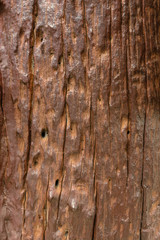 Old brown wood with many cracks and hole, Wall texture background.