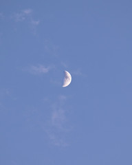 moon in the sky