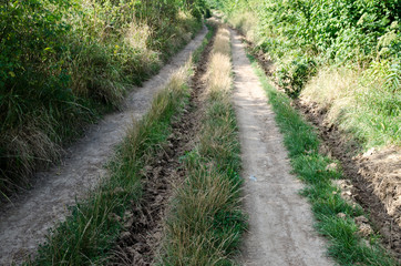 Fototapeta na wymiar rural path in green nature