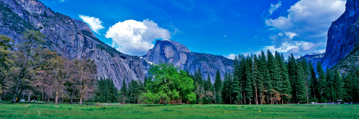 Spring arrives at the Yosemite National Park with a view from the Yosemite Valley