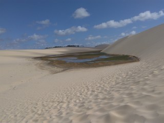 sand dunes in the desert