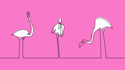 Fototapeta premium Set flamingo staying on one and two leg on pink background. Continuous line drawing isolated. Concept for greeting card, banner, poster, flyer. Abstract bird vector illustration
