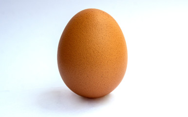 egg on white background