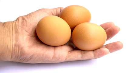 eggs in hand isolated