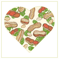 Colorful frame vector heart Peanut. Nuts hand drawn style