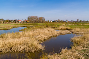 Rzeka Narew. Dolina Górnej Narwi. Wiosna na Podlasiu, Polska