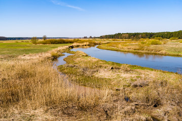 Rzeka Narew. Dolina G&oacute;rnej Narwi. Wiosna na Podlasiu, Polska