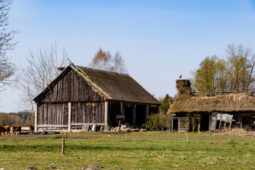 Rzeka Narew. Dolina Górnej Narwi. Wiosna na Podlasiu, Polska © podlaski49