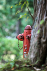 Red fire hydrant in Japan