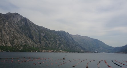 view of the mountains