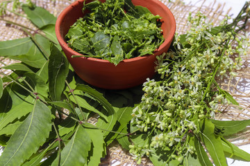 neem leaves paste and flowers on white background, Neem leaves with neem flowers and neem sticks.,selective focus