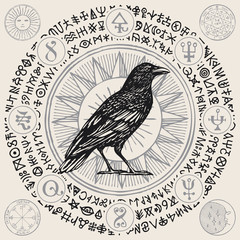 Fototapeta na wymiar Vector illustration with a wise black Raven or magic Crow in retro style. Hand-drawn banner with magical symbols, occult signs and runes written in a circle