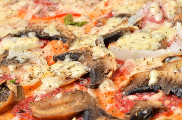 Fresh baked homemade pizza with mushrooms, onions, Gouda cheese, basil, oregano and tomato sauce. Macro.