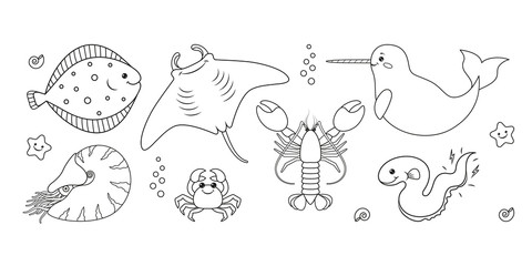 Sea world outline drawing set: flounder, shell, manta ray, narwhal, Nautilus, starfish, crab, lobster, electric eel, star. Vector illustration. © vectorforjoy