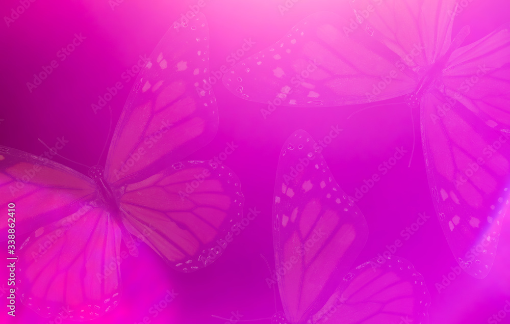 Aufkleber gradient colored background with highlights with butterfly