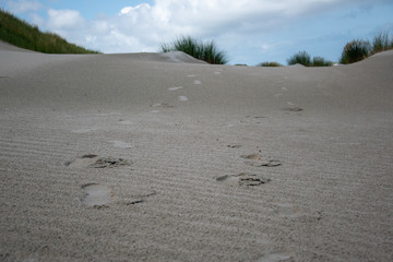 Dünen von Baltrum