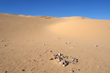 The orange sandy dunes, the dark small stones, the blue sky