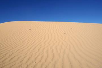 The surface of the orange sandy dunes with parallel lines made by wind and the blue sky.