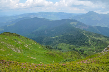Naklejka na ściany i meble Beautiful green mountain valley. Scenic grassy mountains. Summer day in mountains. Green hills and clouds on blue sky. Place for active recreation and hiking Marmarosy ridge. Ukraine