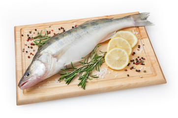 Fresh uncooked pike perch with lemon, rosemary and spice on wooden board isolated on white background with clipping path