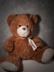 teddy bear favorite children's toy