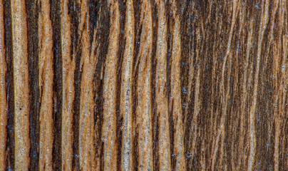 Wooden vintage background varnished. Photographed close-up.