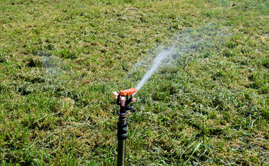 Naklejka premium Watering for a lawn, a green lawn, a stream of water splashes green grass.
