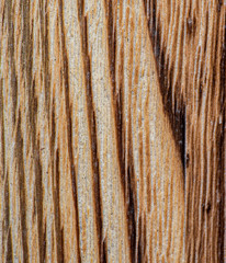 Wooden vintage background varnished. Photographed close-up.