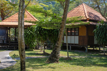 Fototapeta na wymiar Asian holiday villas in a wooded area. Wooden houses on the lawn
