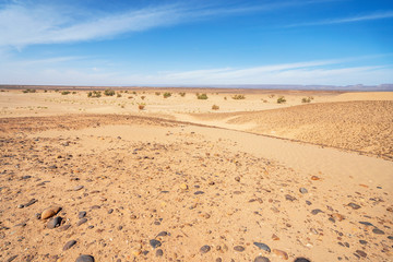 Sahara Desert landscape with stones in Morocco, Africa
