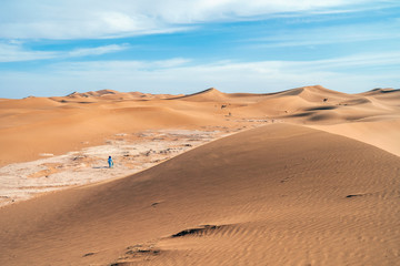 Fototapeta na wymiar Beautiful landscape of sand dunes and camels on Sahara Desert, Africa