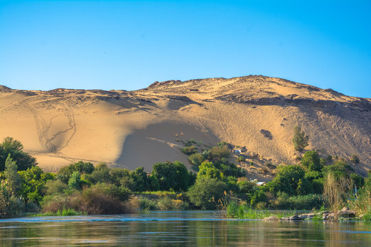vegetação e dunas na beira do rio nilo