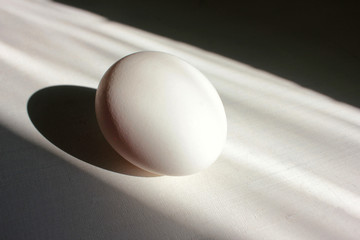 White egg on a white background with copy space. Hard light, deep shadows.