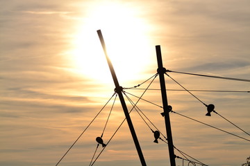 Design with ropes and ornaments. Anchoring ropes playground. Play of light and shadow with fish...